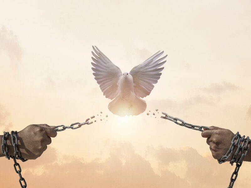 Human Rights, Inclusion & Mobility